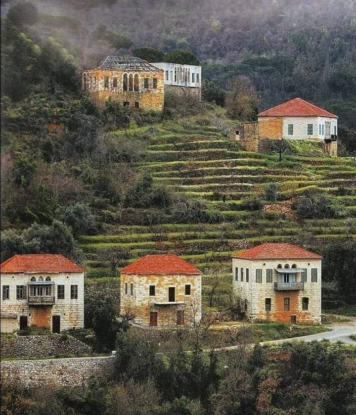 صباح جديد